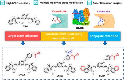 Rational design of a near-infrared fluorescent probe for monitoring butyrylcholinesterase activity and its application in development of inhibitors